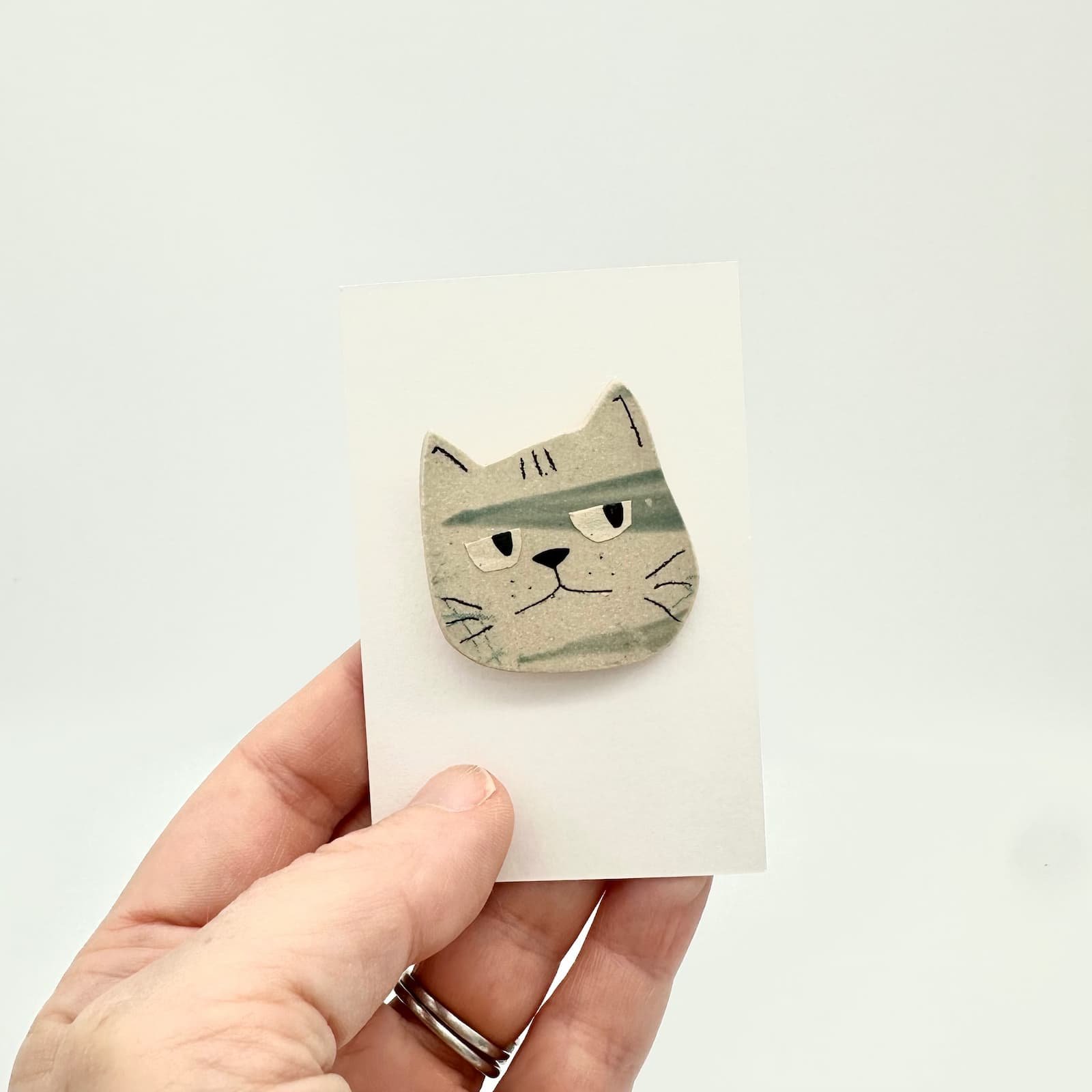 Blue cat brooch in hand